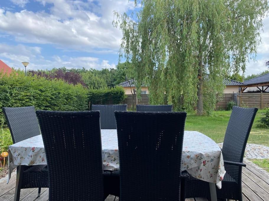 Ferienhaus - Ganzes Haus Fuer Euch Allein Grossenhain Luaran gambar