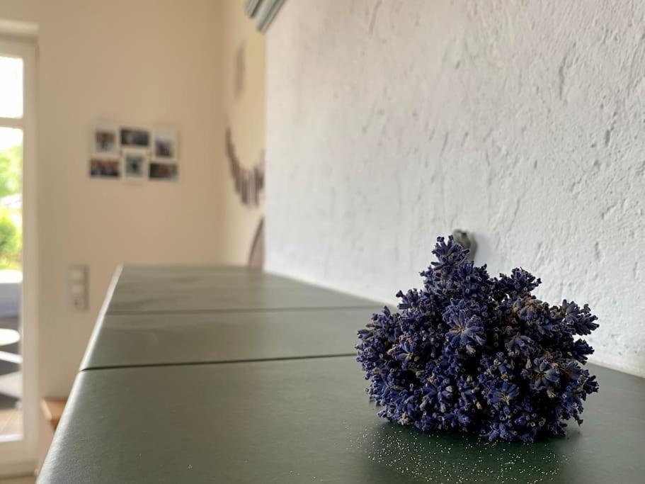 Ferienhaus - Ganzes Haus Fuer Euch Allein Grossenhain Luaran gambar
