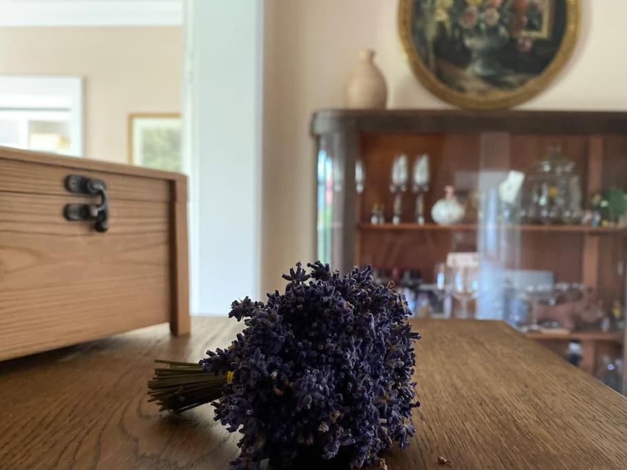 Ferienhaus - Ganzes Haus Fuer Euch Allein Grossenhain Luaran gambar